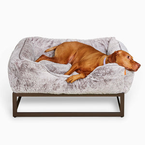 The FÜZI Dog Bed