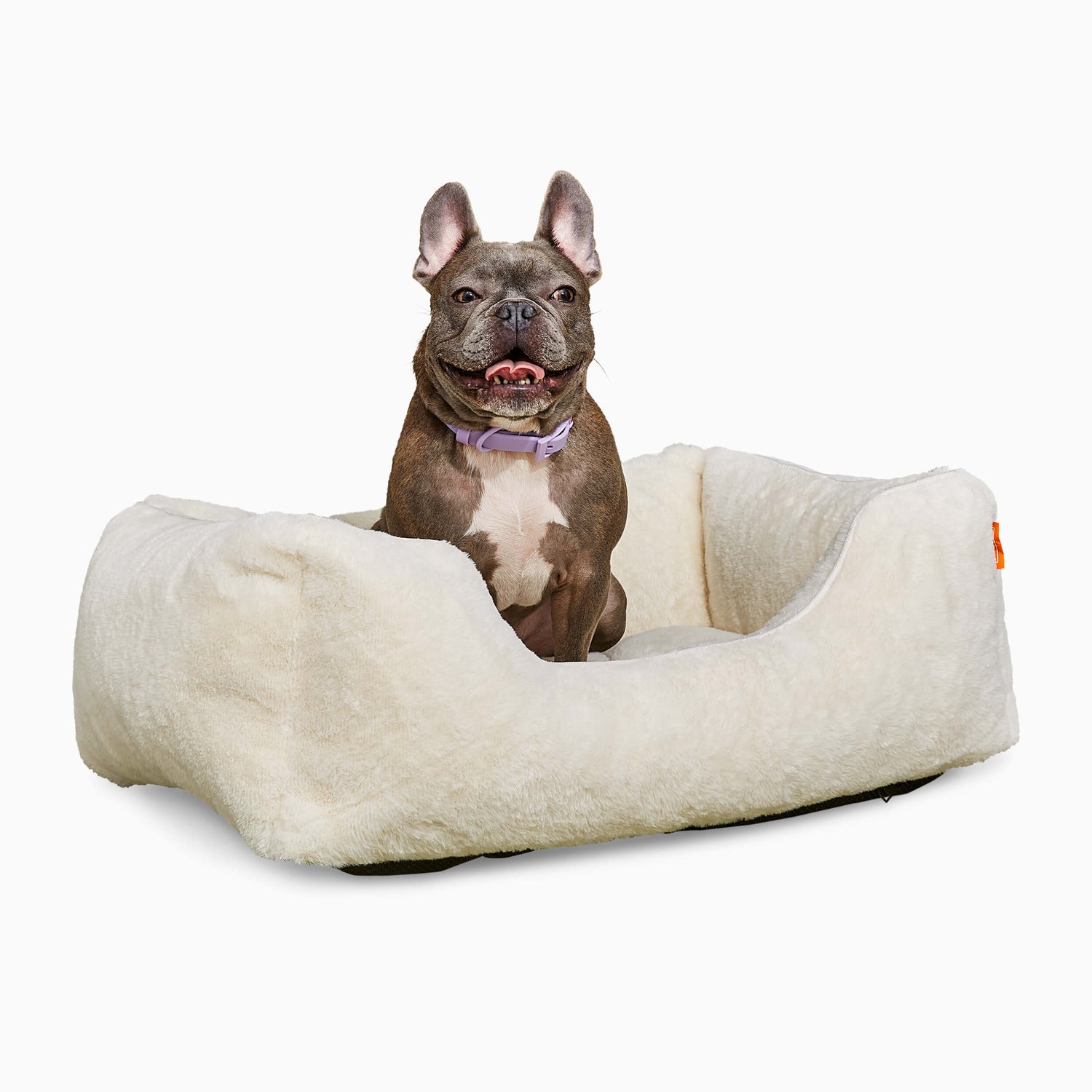 The Sammy Bolster Dog Bed