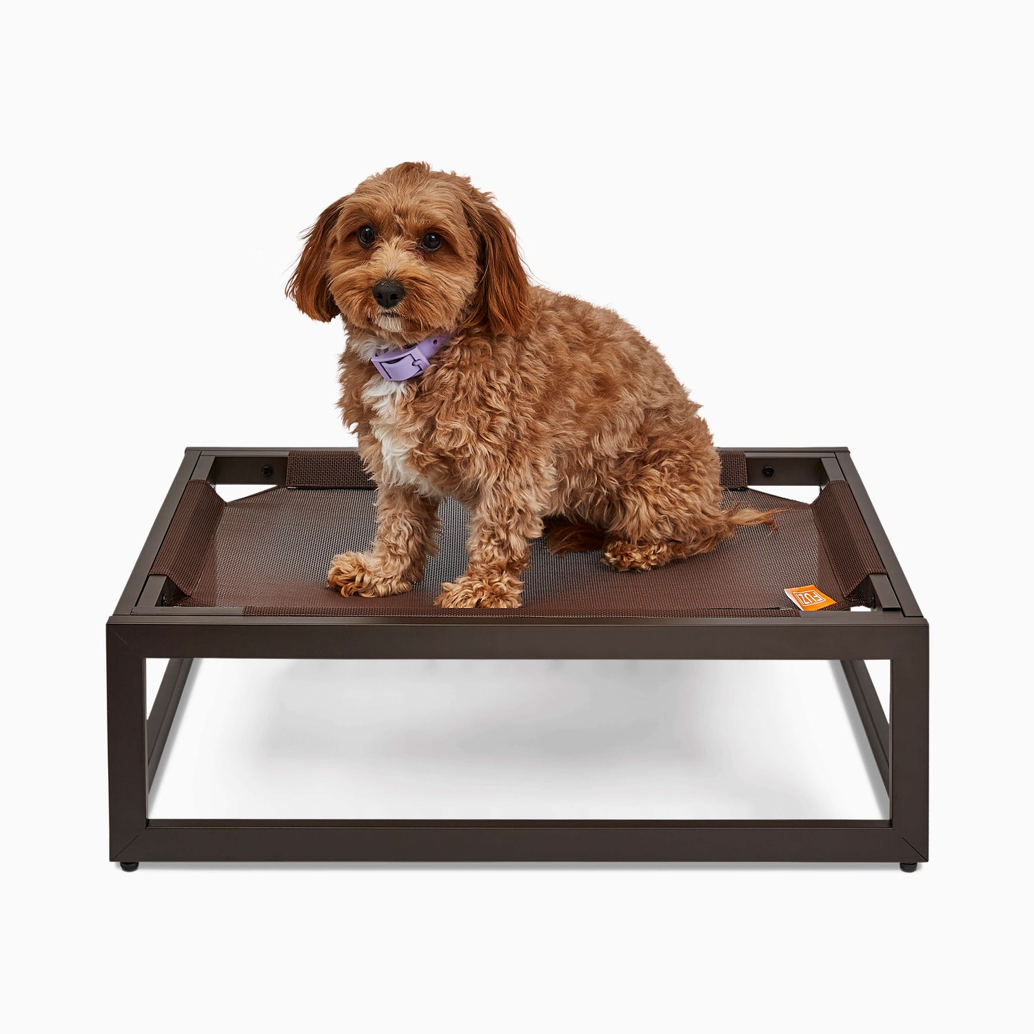 The Up Pup Raised Dog Bed