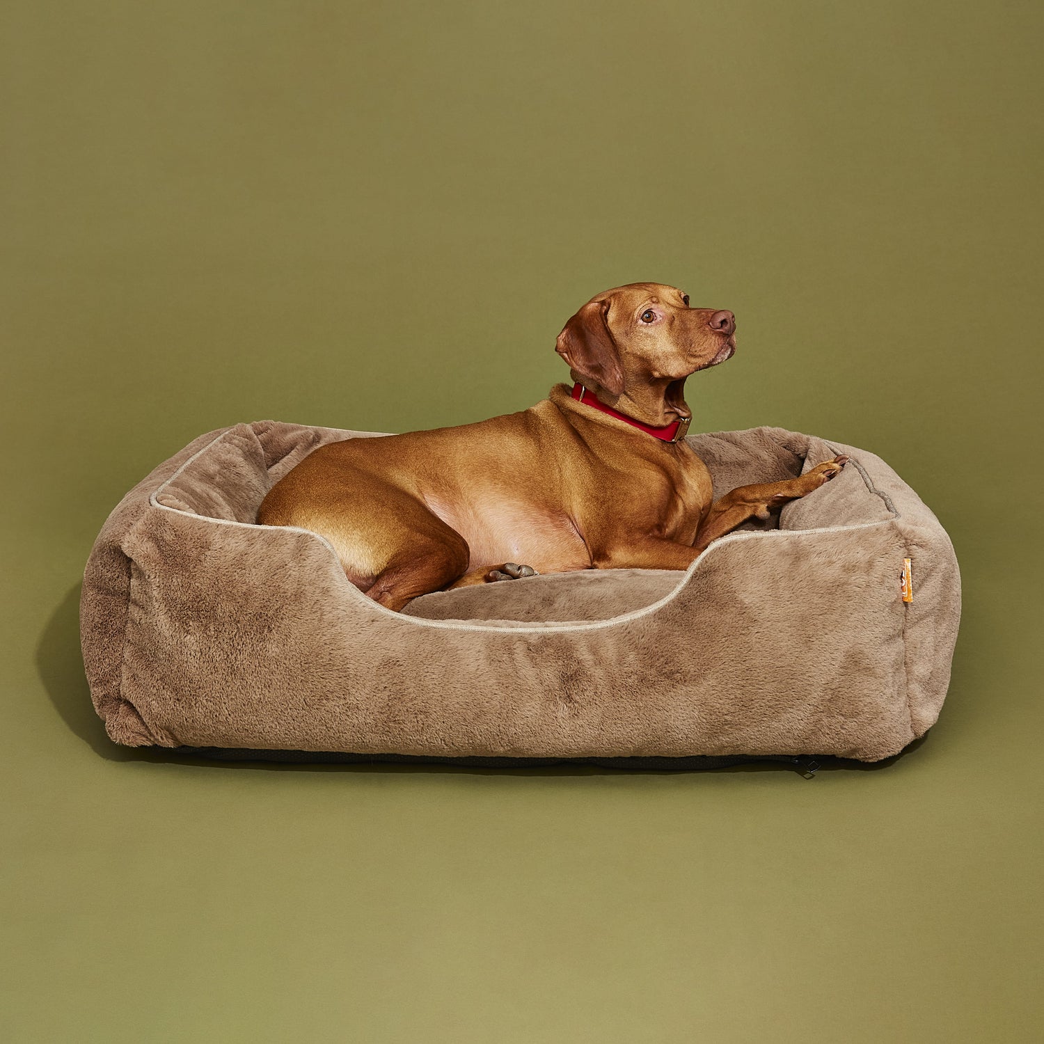 The Sammy Bolster Dog Bed