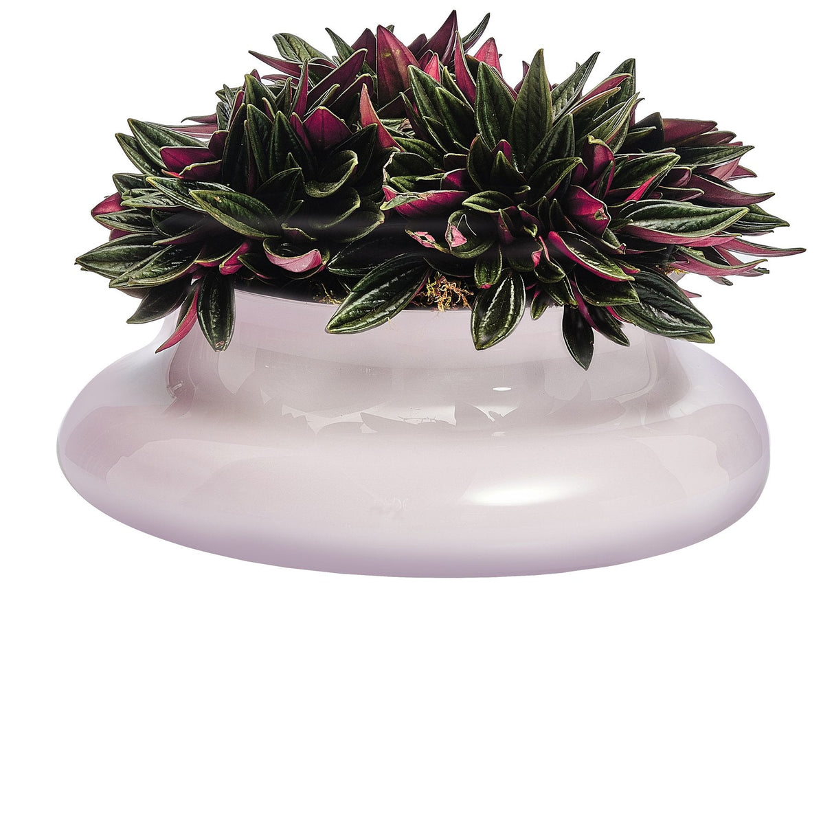 Kurage Vase