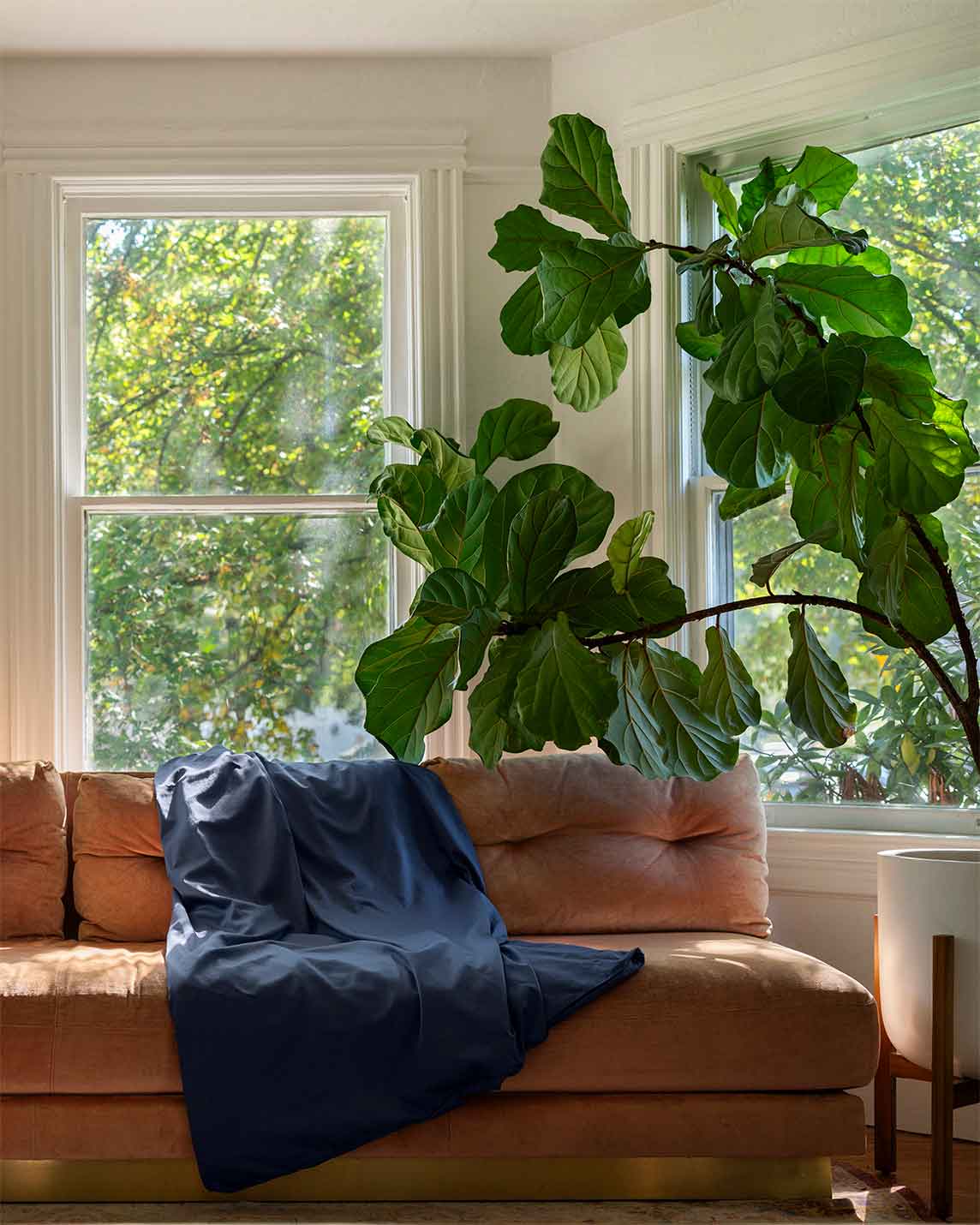 Cotton Duvet Cover
