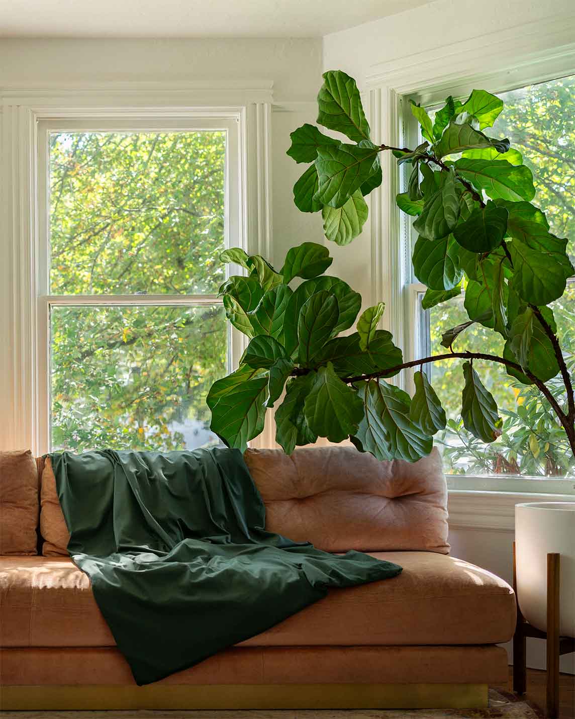 Cotton Duvet Cover