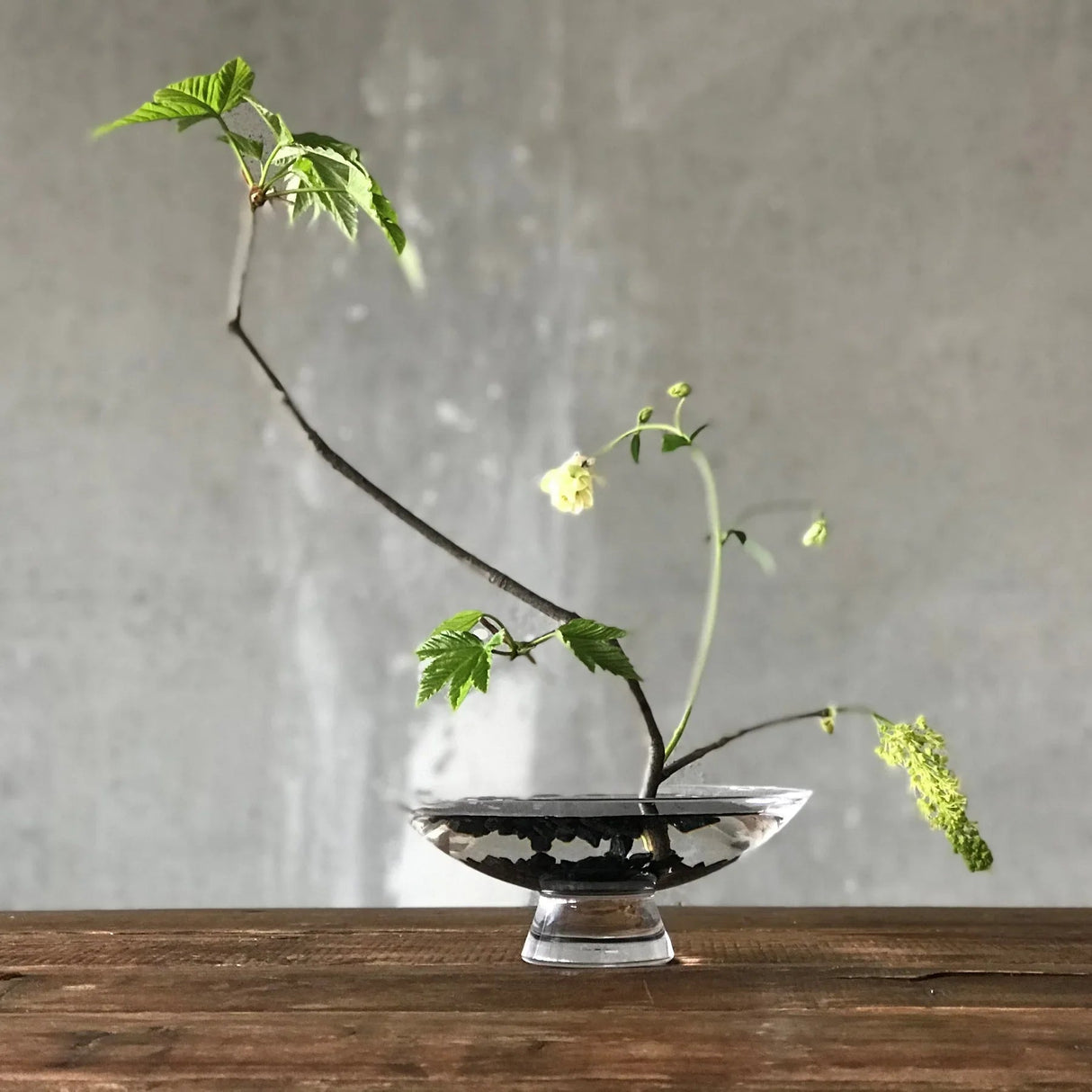 Silhouette Bowl Large