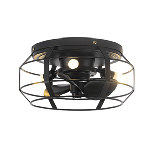 12" Flush Mount Low Profile Caged Small Ceiling Fan with Light and Remote Control