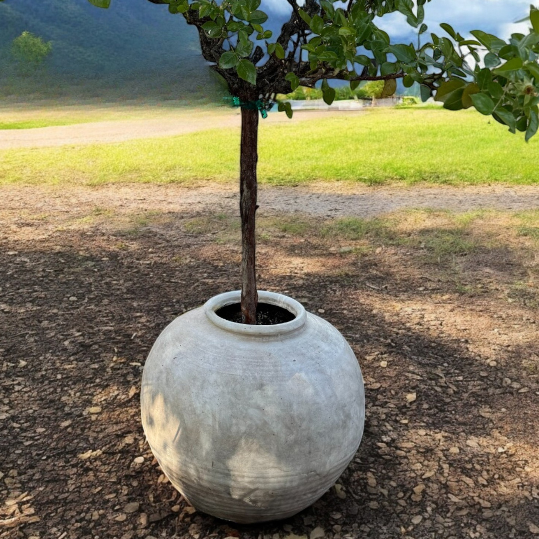 Greystone Fiber Clay Vessel in Aged White, 18.5"D x 14.4" H