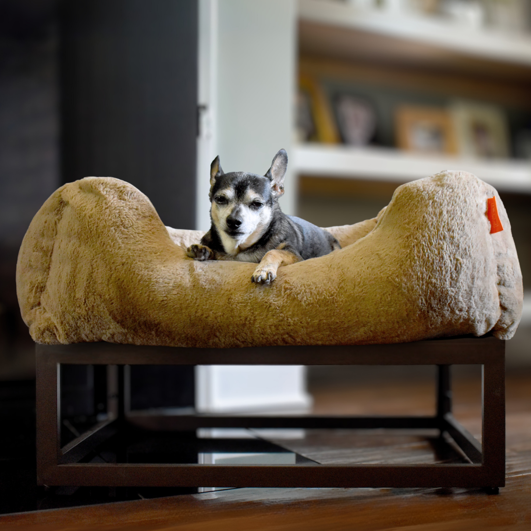 The FÜZI Elevated Dog Bed