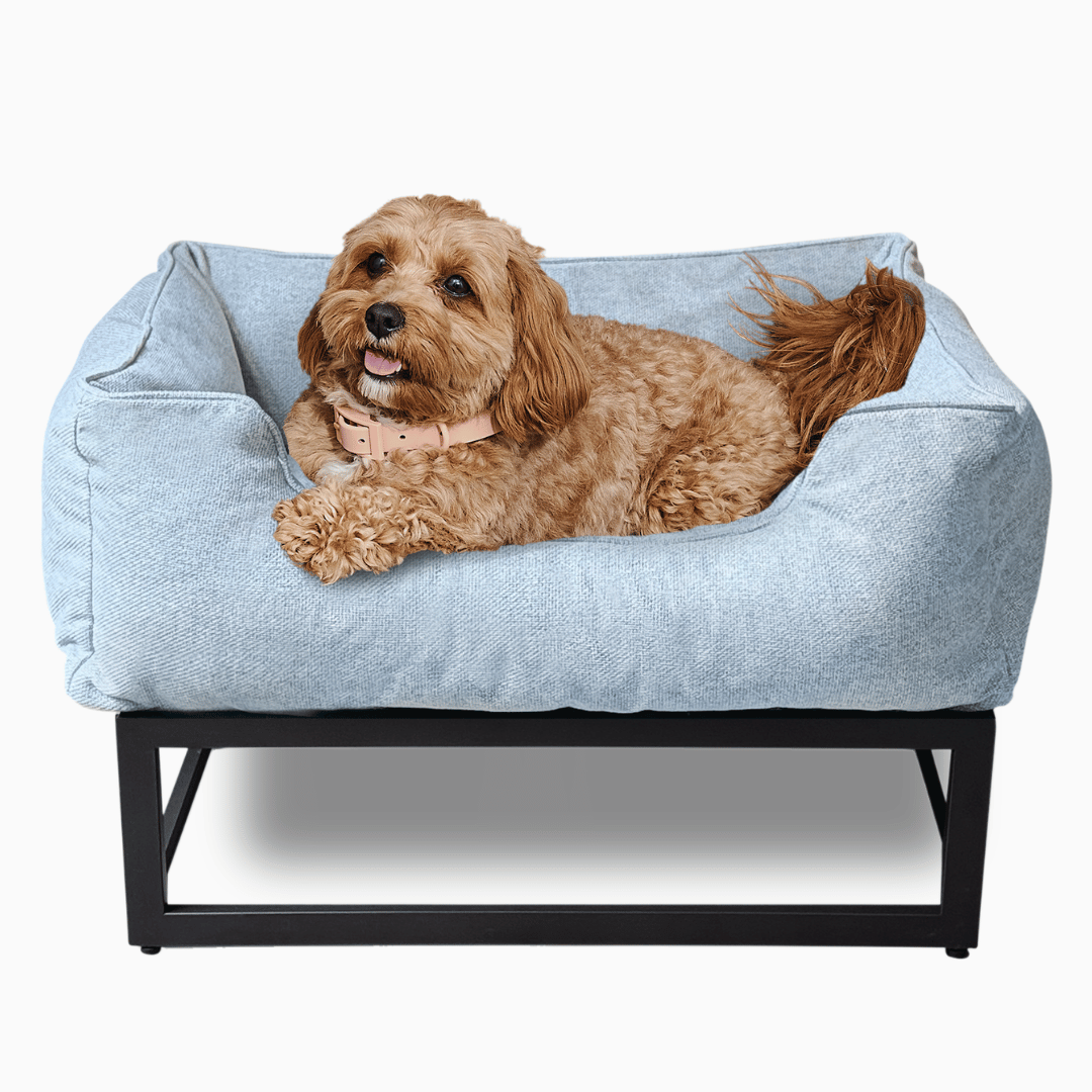 The FÜZI Elevated Dog Bed