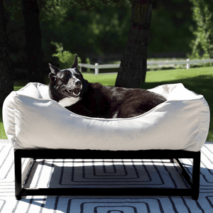 The FÜZI Elevated Dog Bed