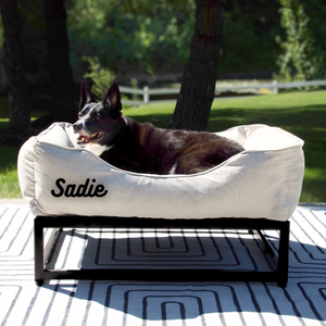 The FÜZI Elevated Dog Bed