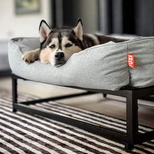 The FÜZI Elevated Dog Bed