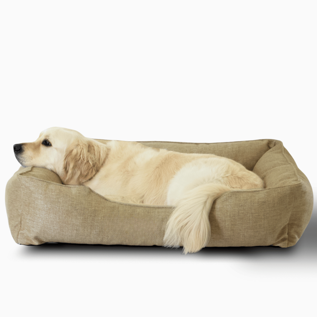 The Sammy Bolster Dog Bed