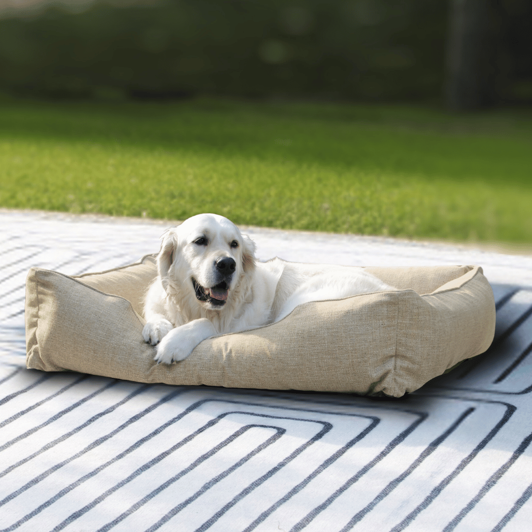 The Sammy Bolster Dog Bed