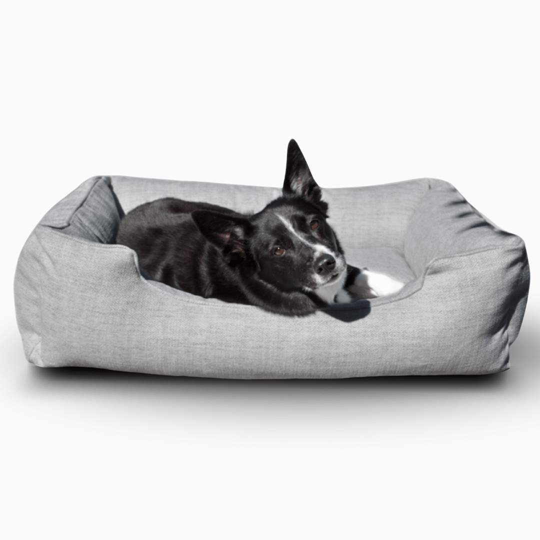 The Sammy Bolster Dog Bed