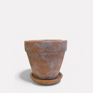 Venice Cement Planter with Dish and Drainage Hole, Handcrafted in Aged Terracotta, Medium & Large