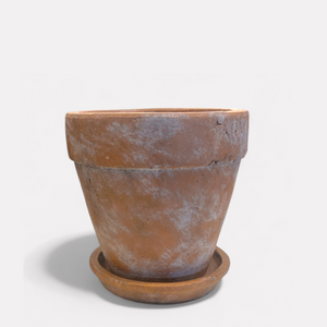 Venice Cement Planter with Dish and Drainage Hole, Handcrafted in Aged Terracotta, Large & Medium