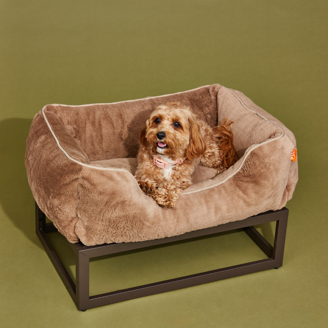 The FÜZI Elevated Dog Bed