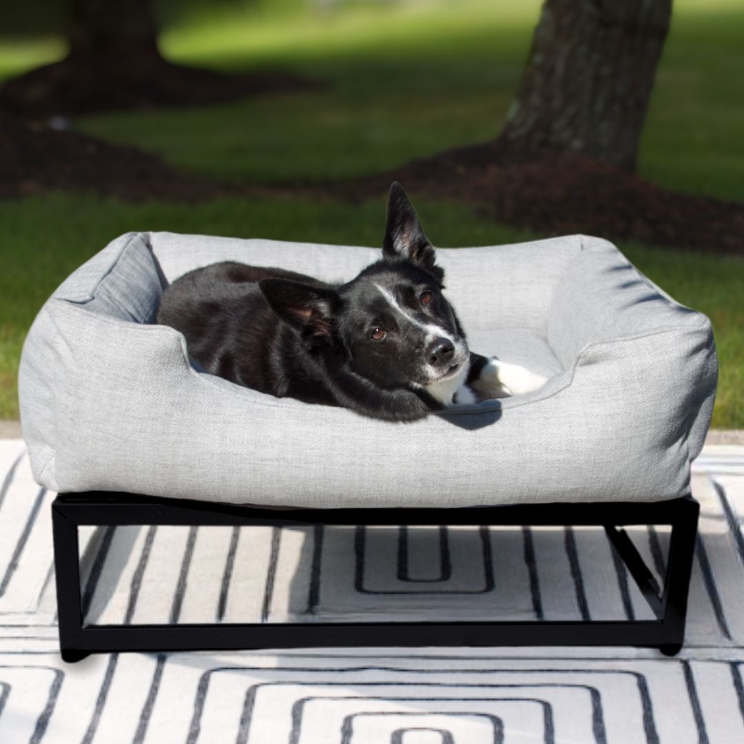The FÜZI Elevated Dog Bed