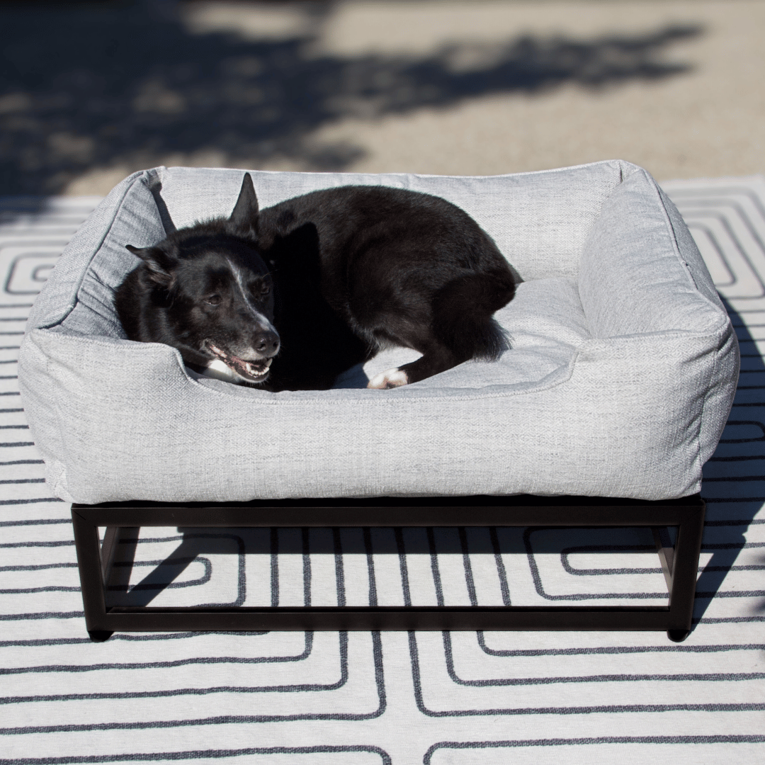 The FÜZI Elevated Dog Bed