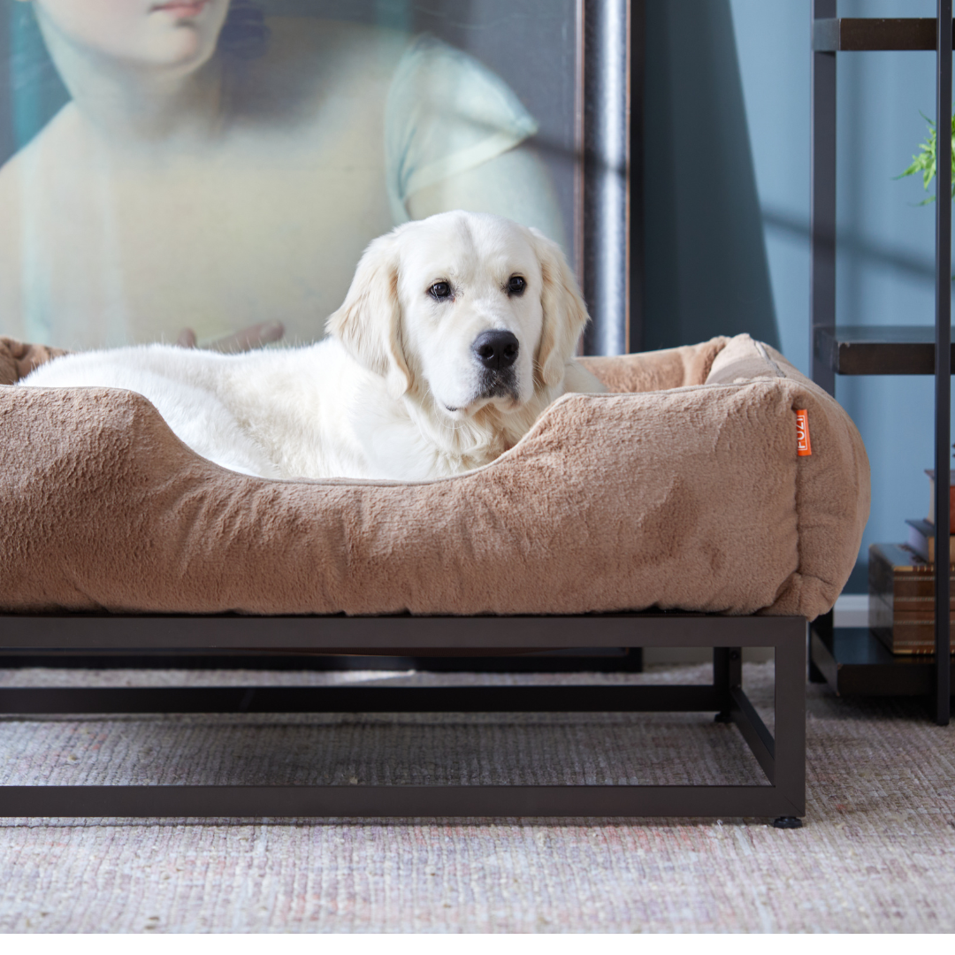 The FÜZI Elevated Dog Bed