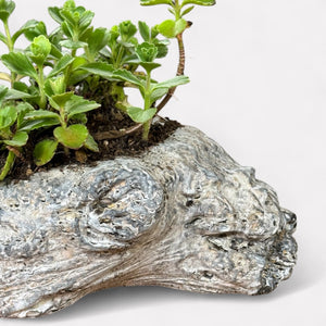 Oakes Cement Planter, Unique Driftwood-Inspired Design, 15"L x 6.5"W x 3.1"H