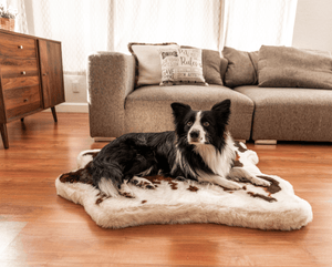 PupRug® Animal Print Memory Foam Dog Bed - Brown Faux Cowhide