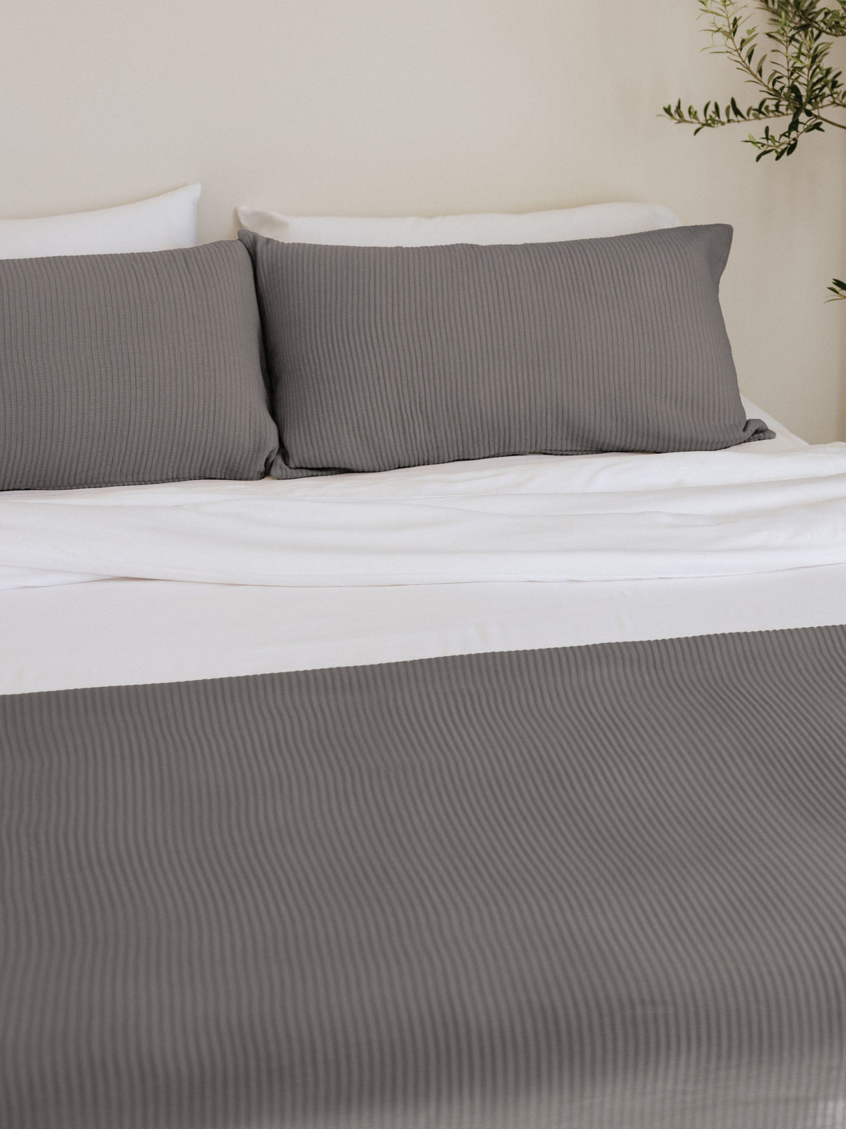 Bamboo Coverlet - Last Chance