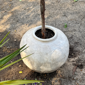 Greystone Fiber Clay Vessel in Aged White, 18.5"D x 14.4" H