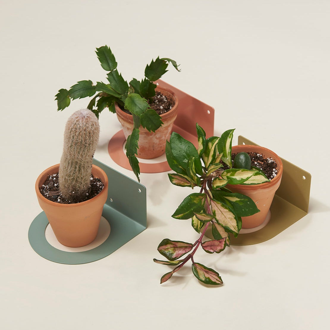 4" Plant Holder for Wall