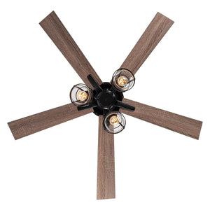52" Kashmir Traditional Downrod Mount Reversible Ceiling Fan with Lighting and Remote Control