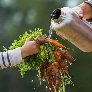 64oz Wide with Loop Cap