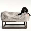 The FÜZI Dog Bed