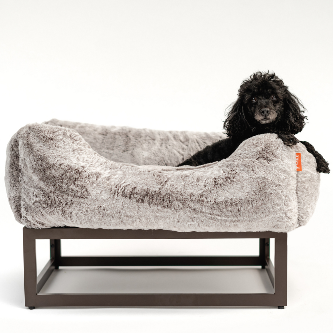 The FÜZI Dog Bed