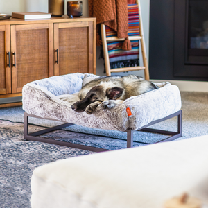 The FÜZI Dog Bed
