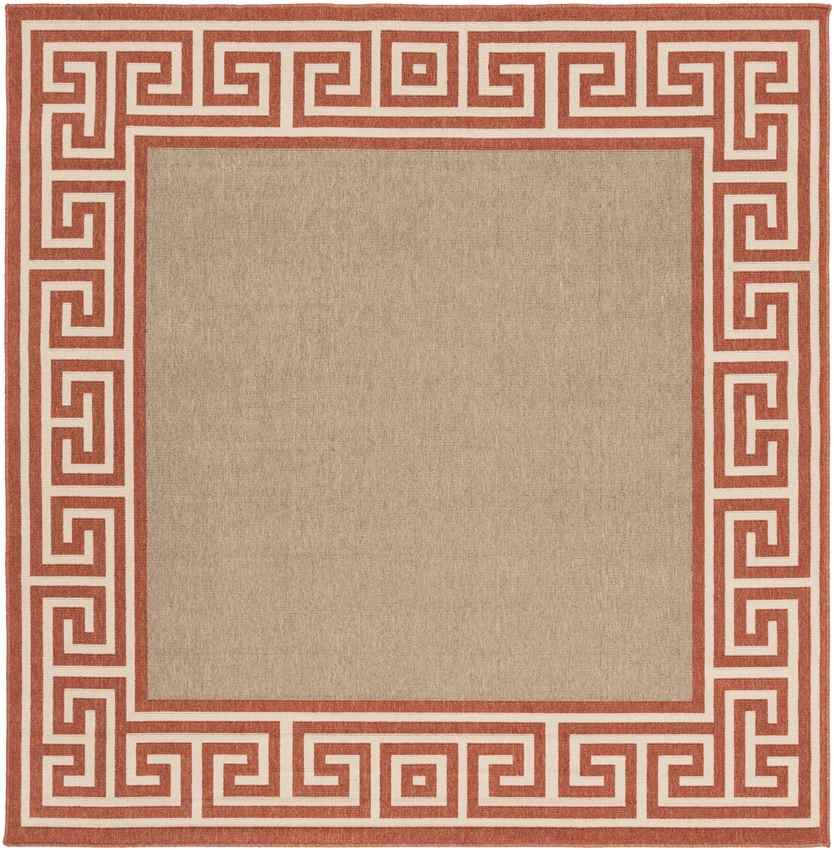 Arya Cottage Rust Area Rug
