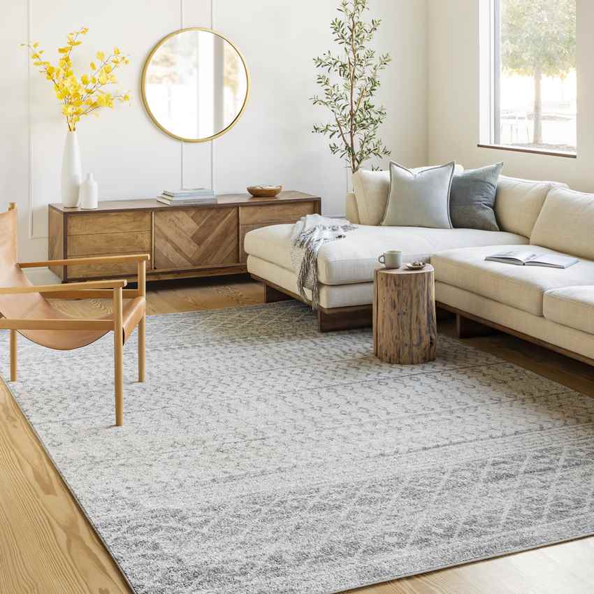 Louise Global Light Gray/White Area Rug