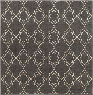 Liam Cottage Black Area Rug