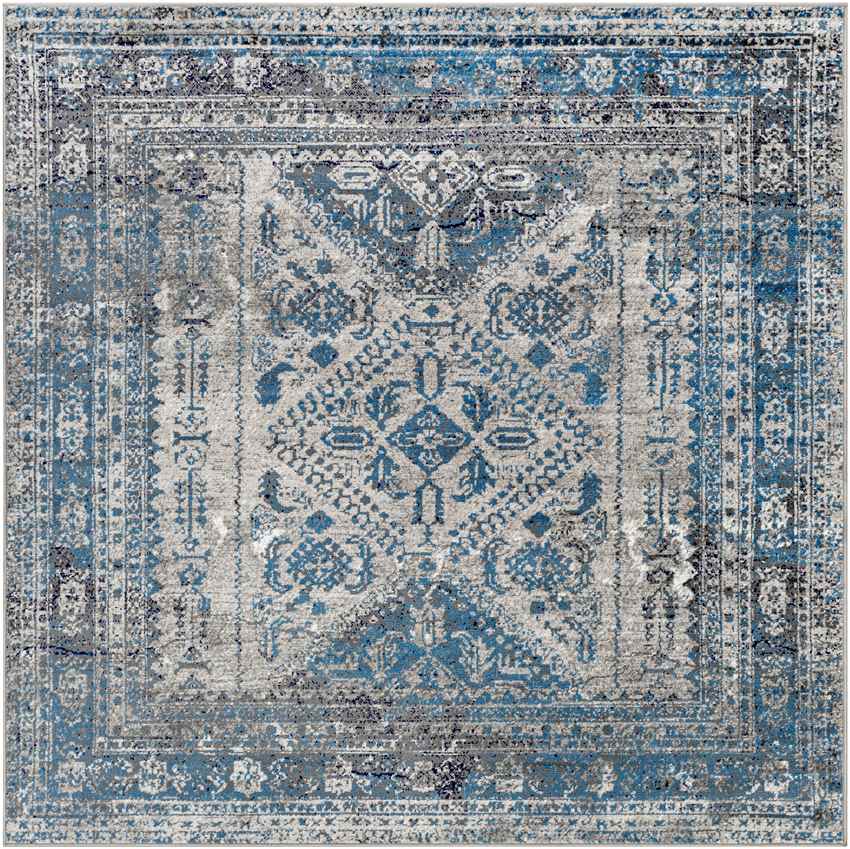 Jules Traditional Light Gray/Charcoal Area Rug