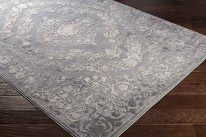 Nantes Traditional Gray Area Rug