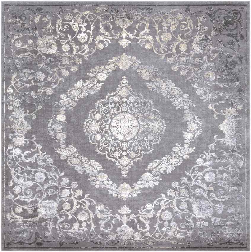 Nantes Traditional Gray Area Rug