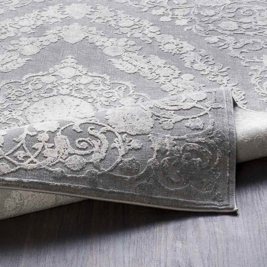 Nantes Traditional Gray Area Rug