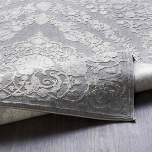 Nantes Traditional Gray Area Rug