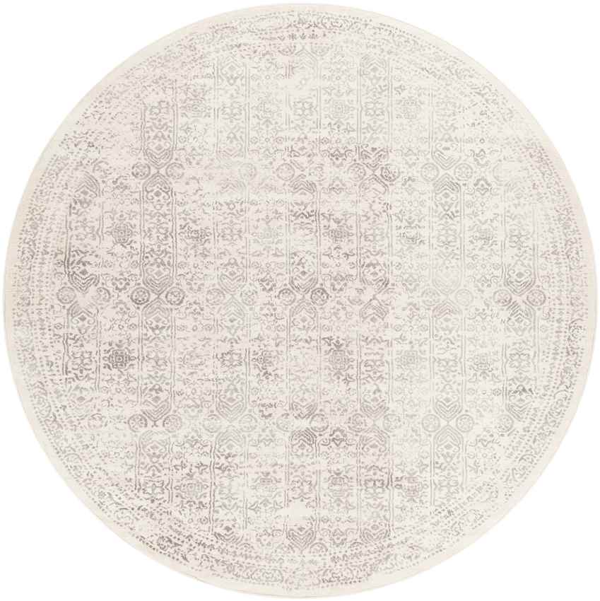 Hyeres Traditional Gray Area Rug