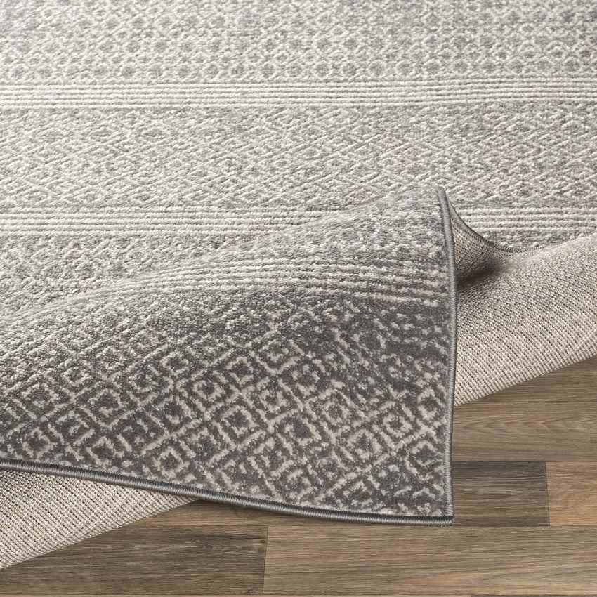 Bagneux Global Medium Gray Area Rug