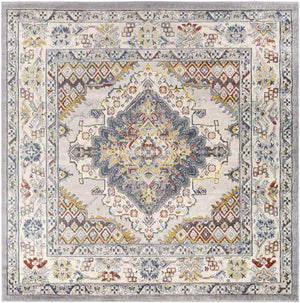 Var Traditional Gray Area Rug