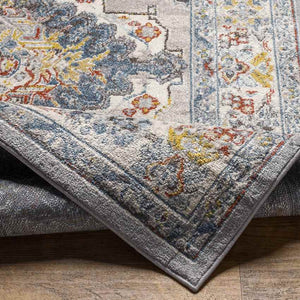 Var Traditional Gray Area Rug