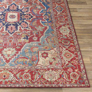 Nievre Traditional Burnt Orange Area Rug