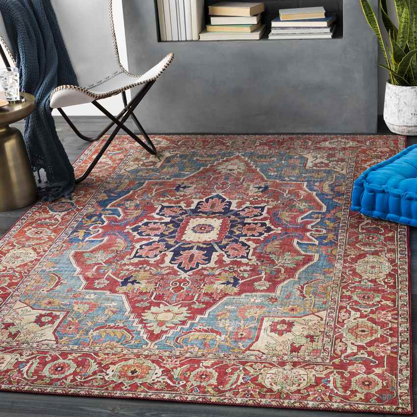 Nievre Traditional Burnt Orange Area Rug