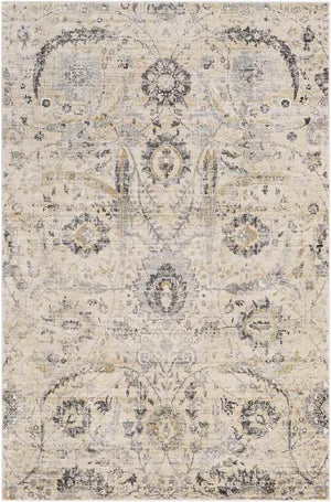 Avellino Traditional Beige Area Rug