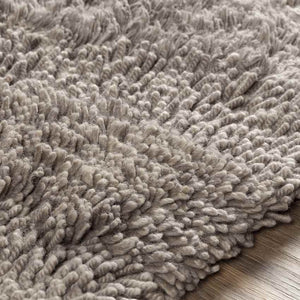 Caroline Modern Taupe Area Rug